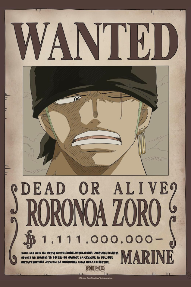 One Piece Wanted Poster