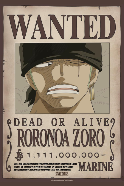 One Piece Wanted Poster