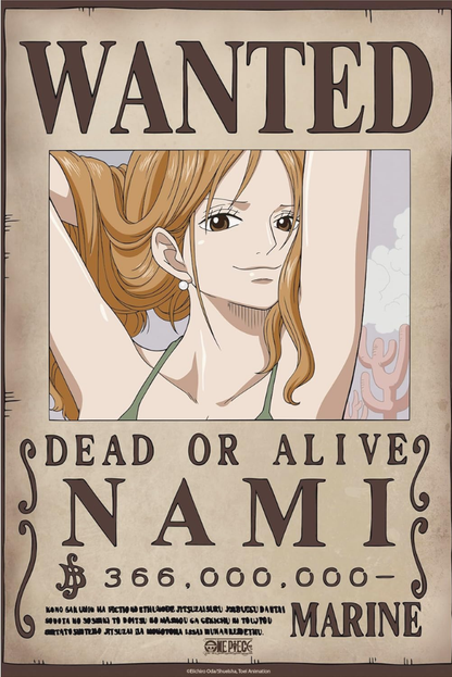 One Piece Wanted Poster