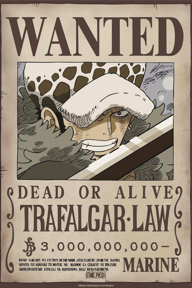 One Piece Wanted Poster