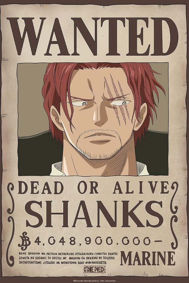 One Piece Wanted Poster