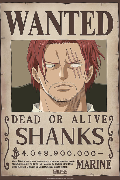 One Piece Wanted Poster