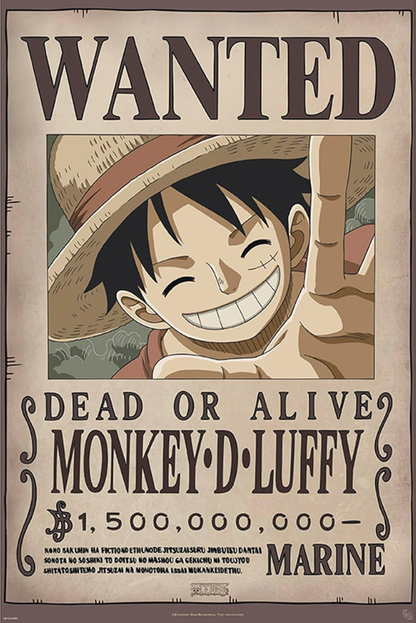 One Piece Wanted Poster